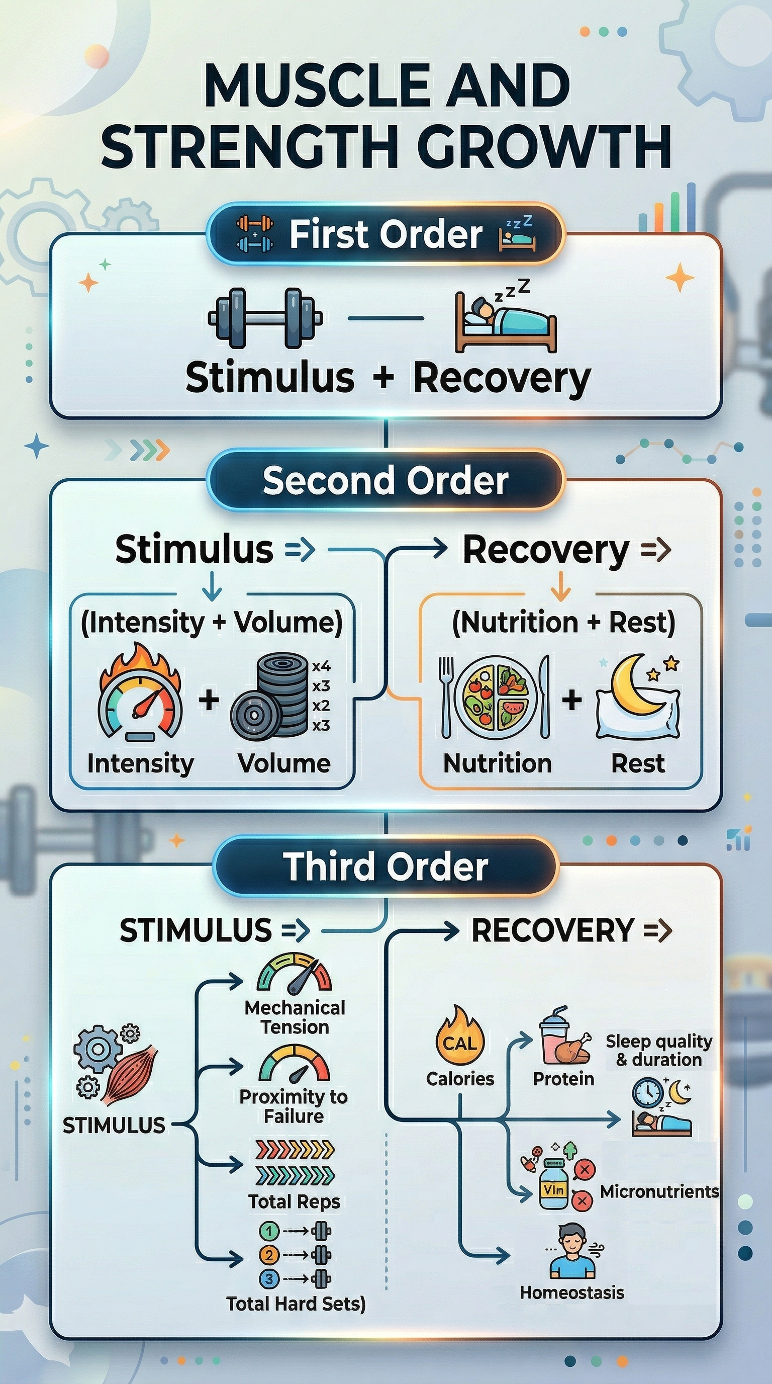 Muscle and Strength Growth